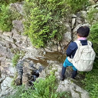 次は岩岩のトラバース！