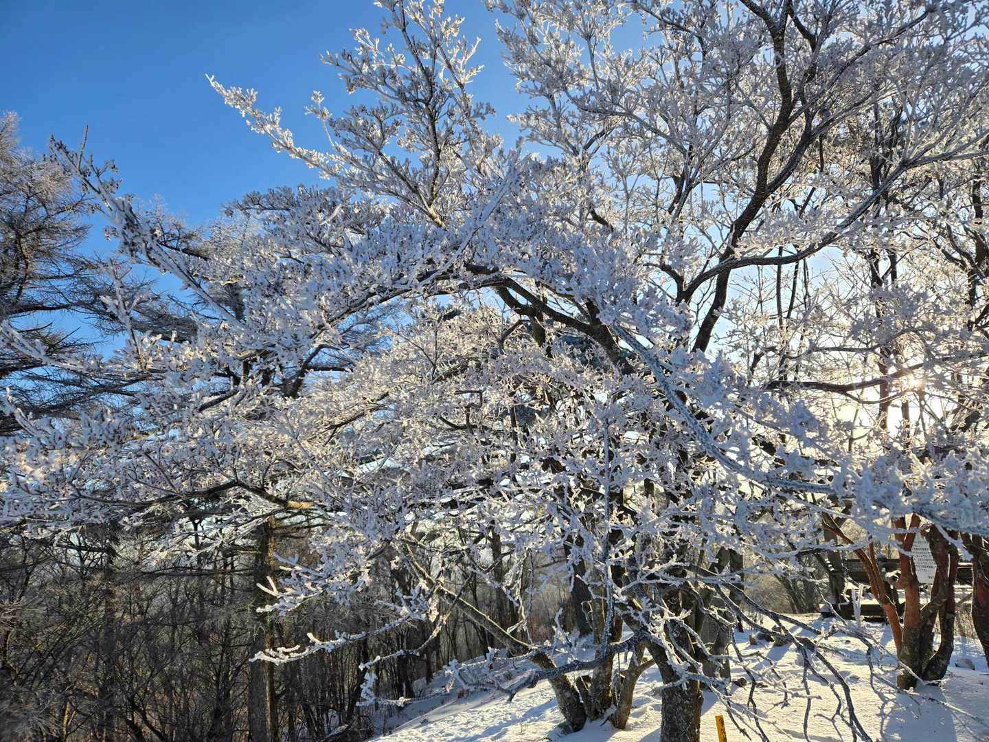 大多賀峠登山口-寧比曽岳-富士見峠 往復コースの写真