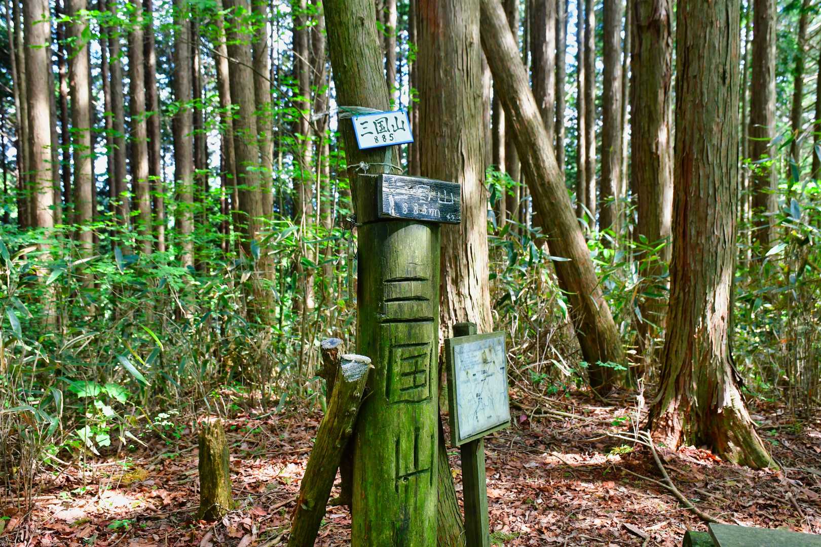 登頂したぞ＼(^o^)／