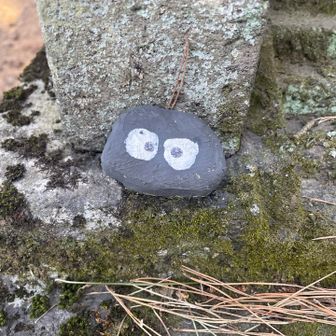 お願いします🙇