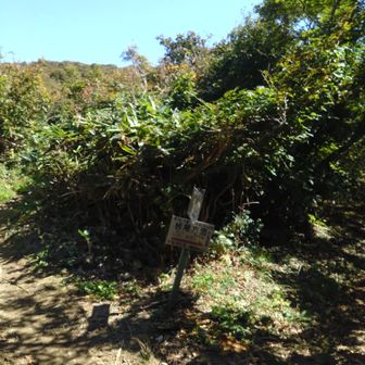 分岐