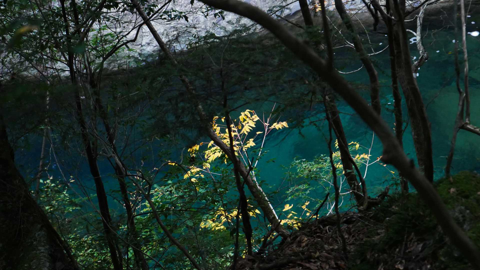 秋を見つけてはつかまえる。

陽が陰った場所は水の色が深い碧に変わって、赤や黄色の葉がより映えますね。