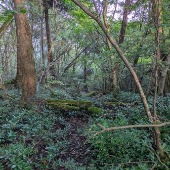本城山は標識探しましたが、見つけれませんでした