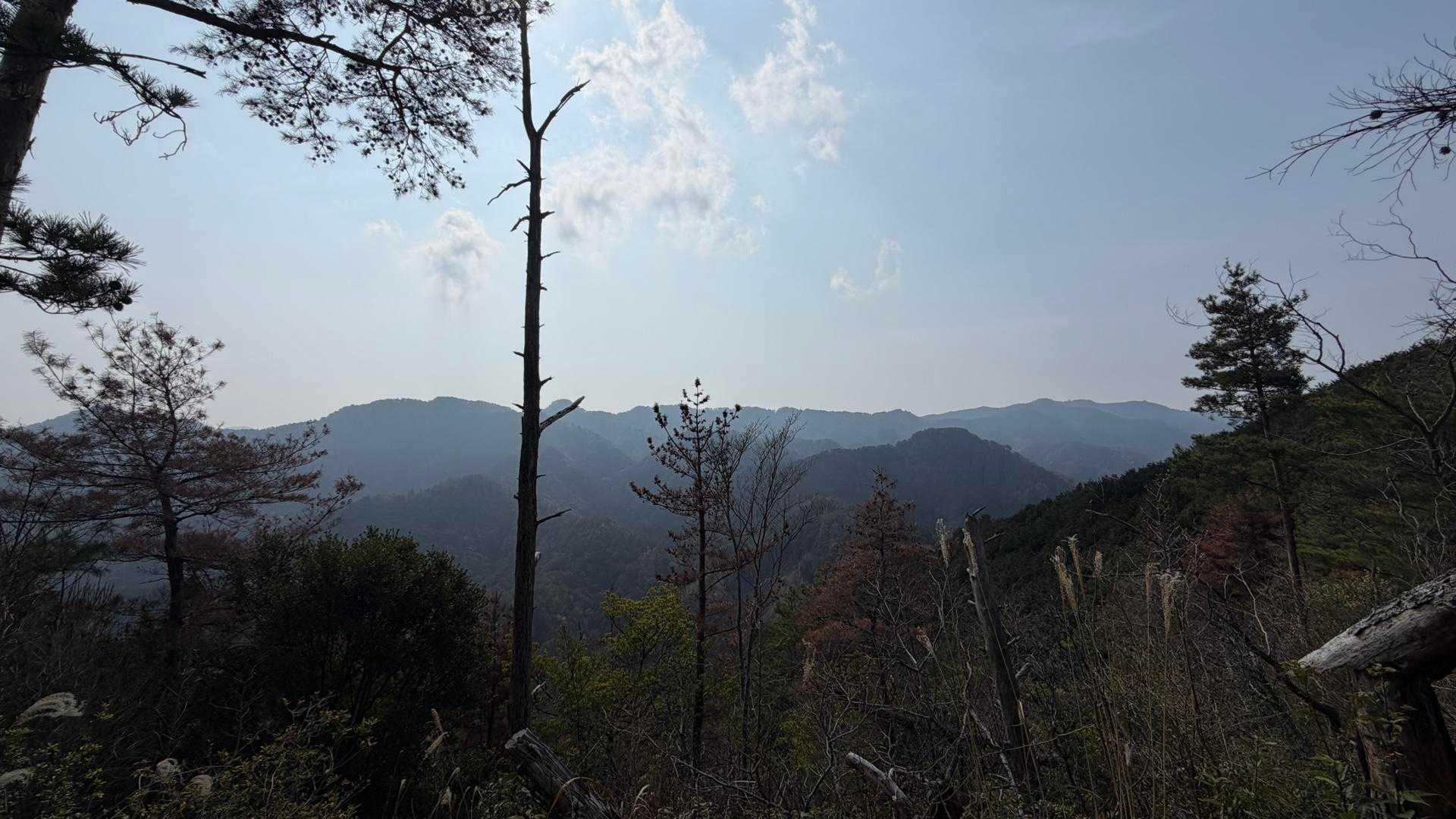 八ヶ丸山 周回コースの写真