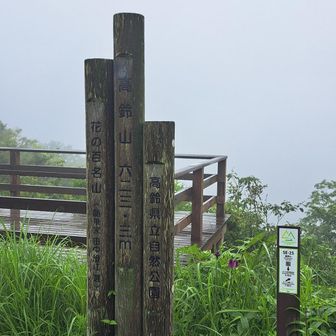 花100の山なんですって😳
秋のセンブリが有名らしい。