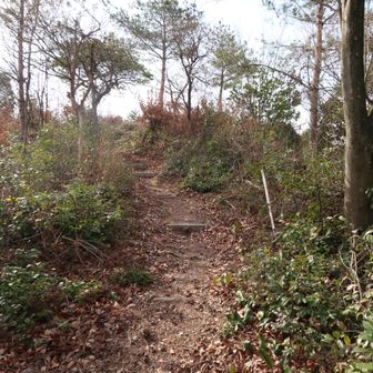 山頂に向かいます