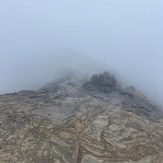 突風に負けずに突き進む
