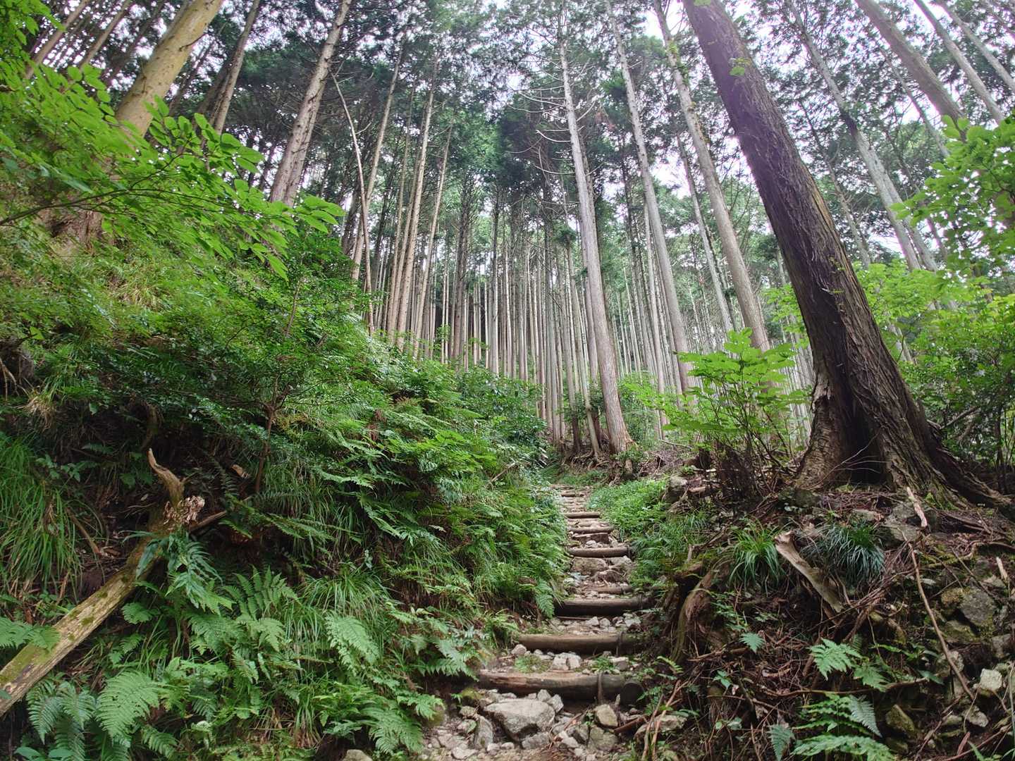 ルートに戻ります⤴️