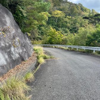 帰りはつまらない林道をちゃっちゃかと下ります