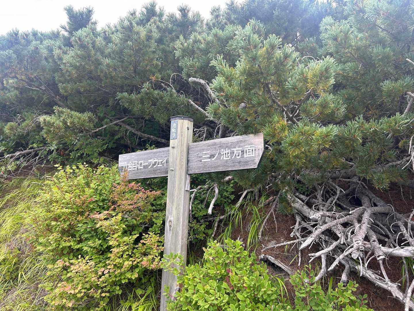 中の湯登山口-御嶽山 周回コースの写真