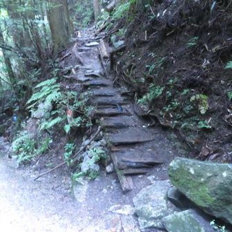 寺谷コース入口