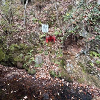 これが一番シュール