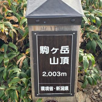 長がった😆
