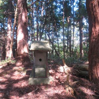 祠のある山頂。
山名標はなし。