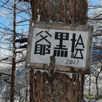 展望スポットから北面に下る。