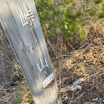 アップダウンを繰り返し峠山