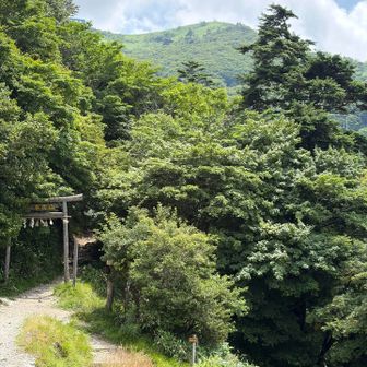 振り返ってお山にさよなら