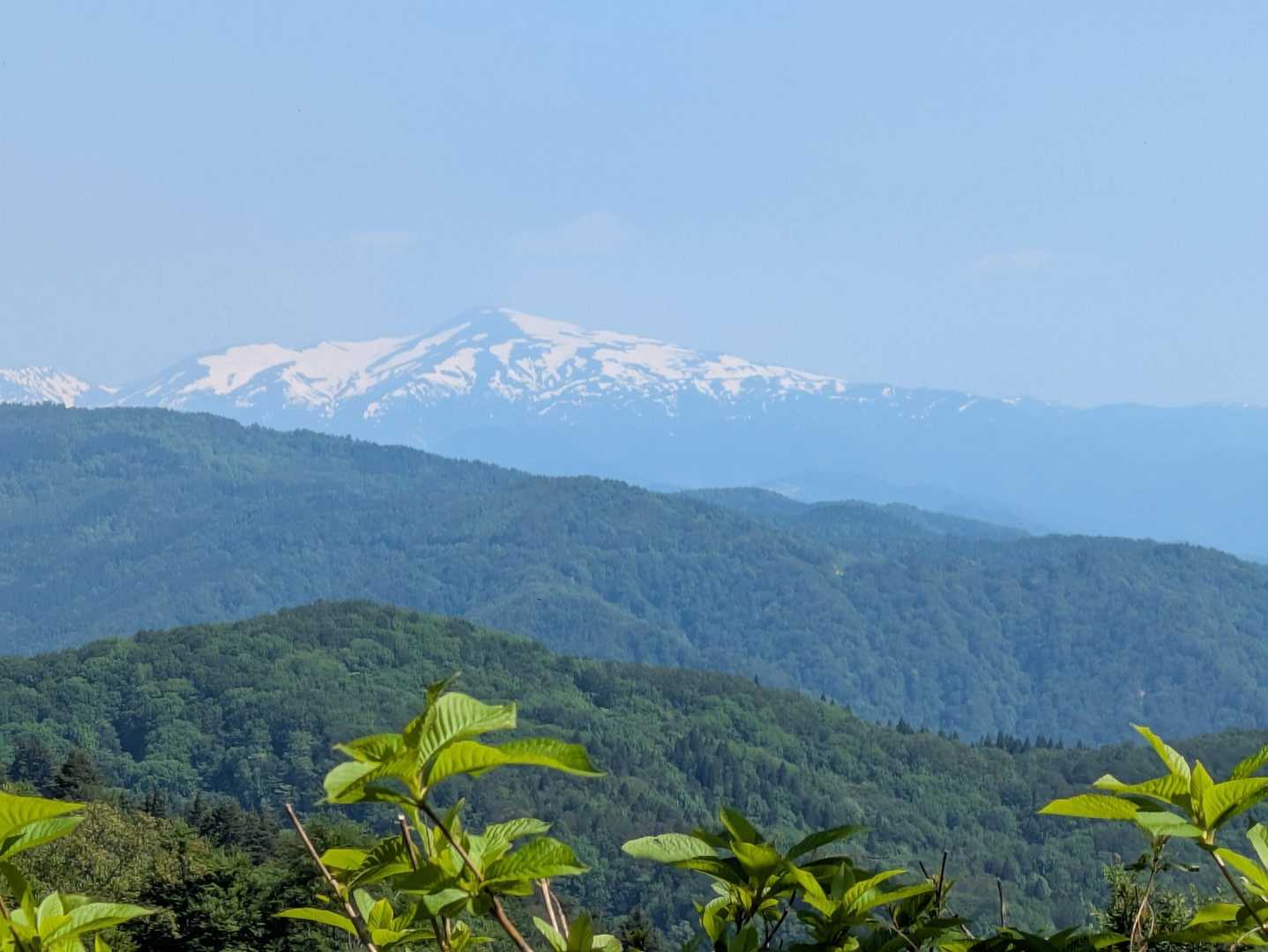 時折見える眺望に癒され