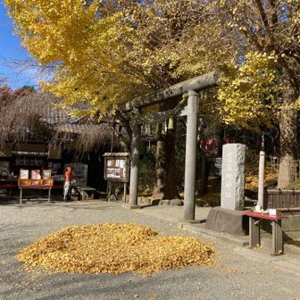 葛原岡神社⛩️