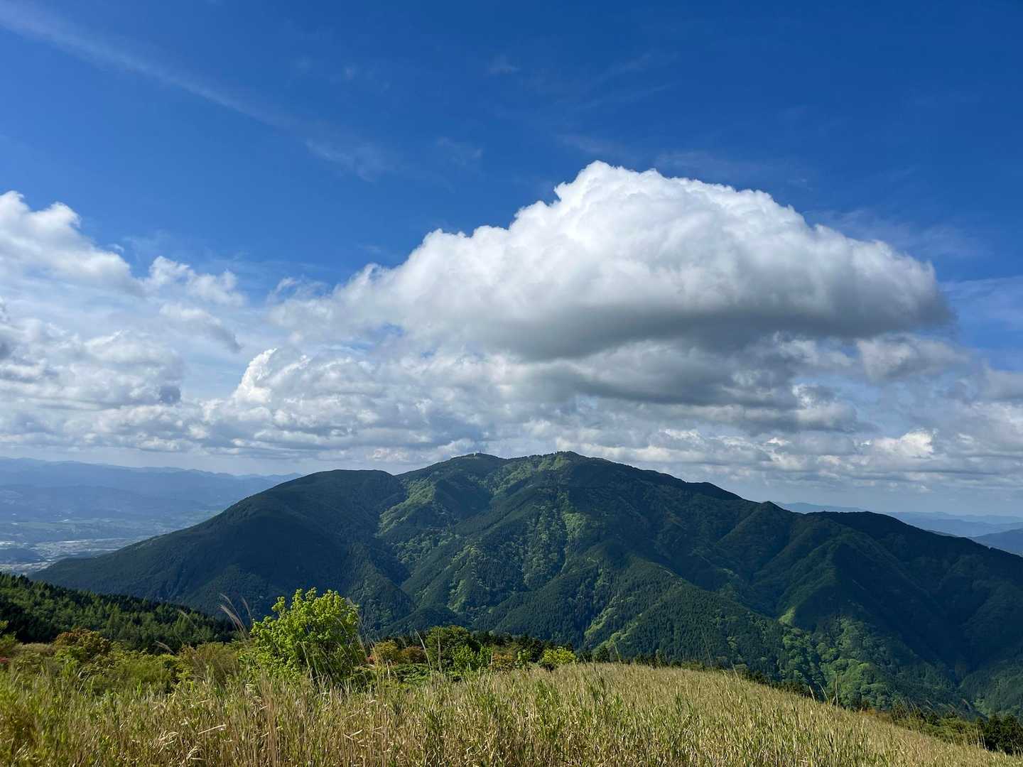 ツツジなくても綺麗🤣
葛城山から見る金剛山は最高ですね✨