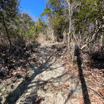 ココからいきなり急登始まります🧗
山本選手も小さい頃から登ってたんでしょうね✨
因みに山本選手のインスタみたら
スニーカー👟で登ってたみたい😅
さすがスーパースターです🌟🌟