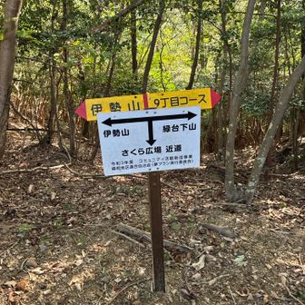 お疲れ山でした！