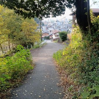 降りてきたぁ。