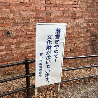 おい！茂！文化財が泣いてるぞ