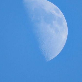 上弦の鬼⋯⋯じゃなかった、上弦の月ズーム🌓