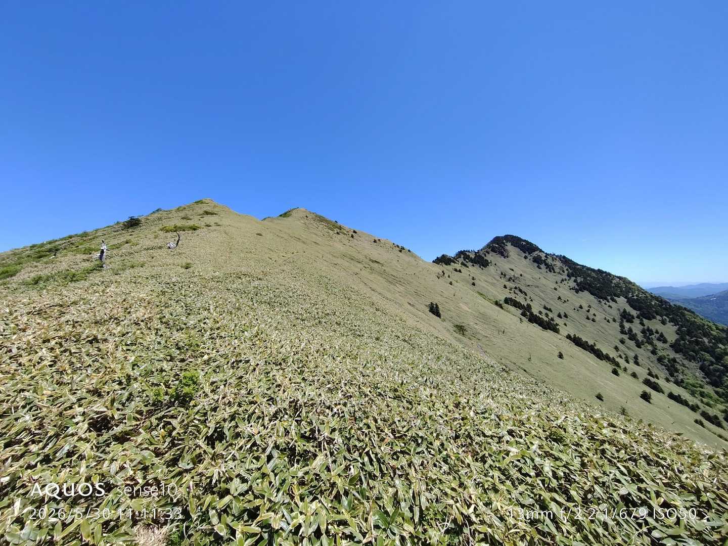 保井野登山口-堂ヶ森 往復コースの写真
