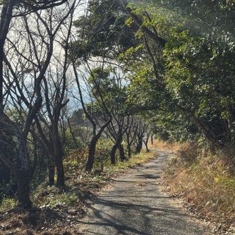 ここまでバイクでこられたな