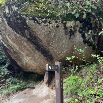 猿岩