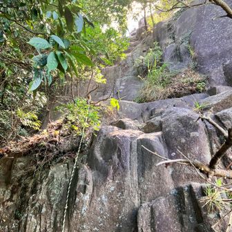 ここでも巻道か悩んで、、登りました😆