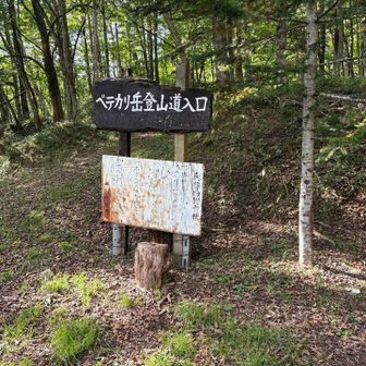 ペテガリ岳登山口
明朝にここを出発します🛫