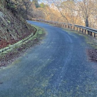 帰りはロードを行きます。