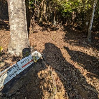 そしてちょっと迷いながら高代寺に向かいます🐻