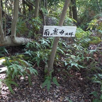 お疲れ山でした☺️