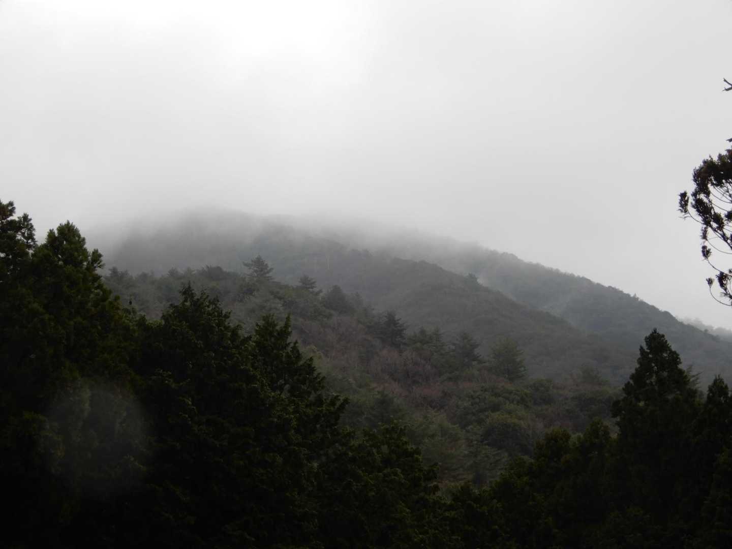 雨が落ち始めました😢　
ガスに煙る男岳？