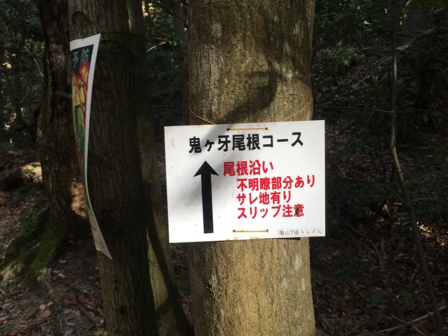 林道から分かれてここから登山道