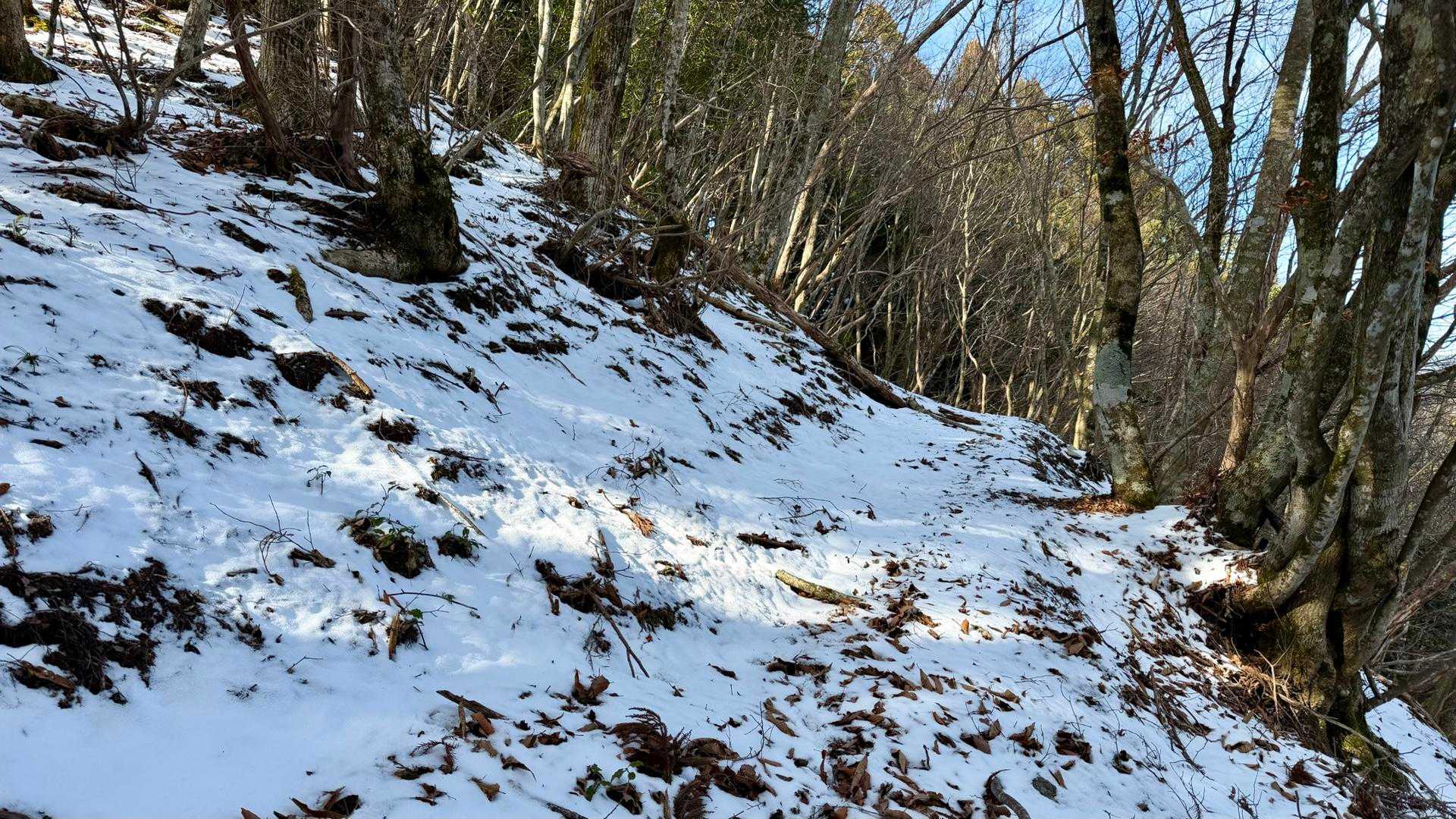 まだ雪が残っていました