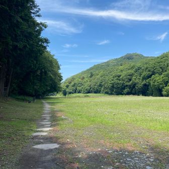 ほんと、今日は快晴だ🏞️