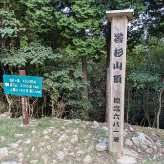 若杉山（681m）
せっかくなのでピークハント
※ほんど登ってませんけど