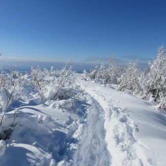雪庇ゾーンはまだまだ