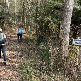 最後の鳴尾山へ。ここから登山口