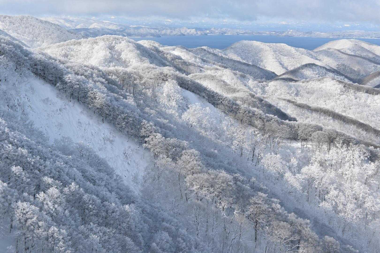 寒いけどあっちもこっちも写真撮りたい！