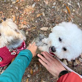三角点あったよ🎶