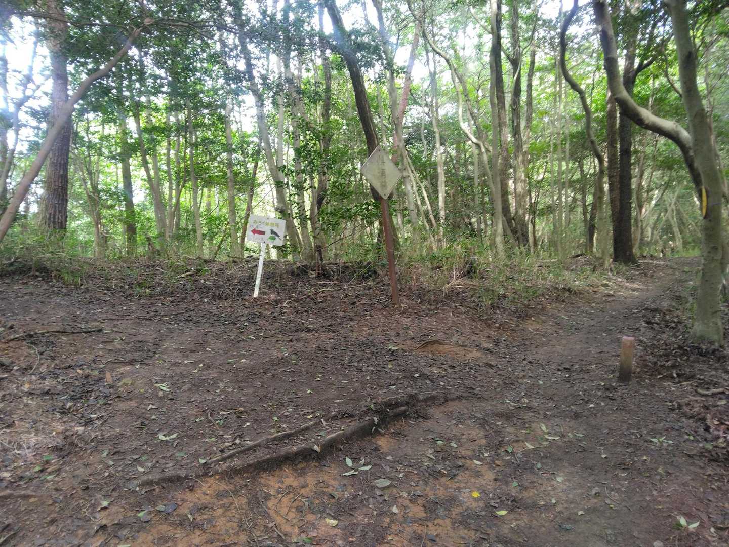 下山します‥🚶‍♂️🚶‍♀