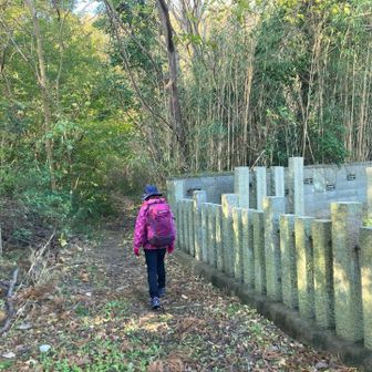 この奥から入ります