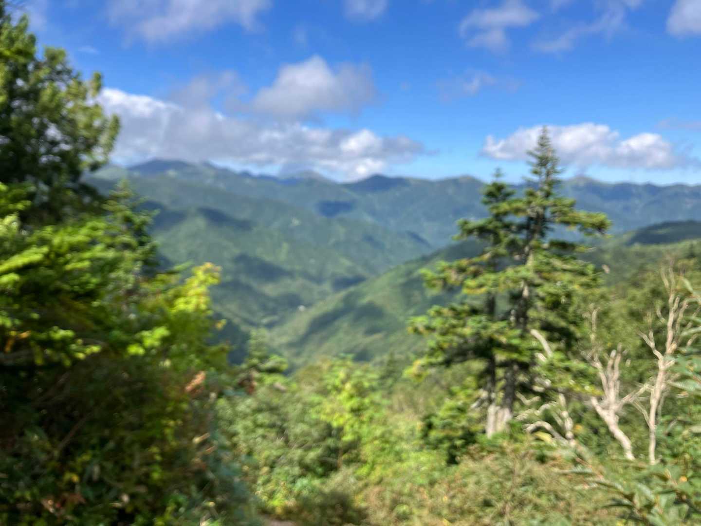 下山中に登ってくる方とすれ違う
後で調べると自転車の登山口アタックも可能