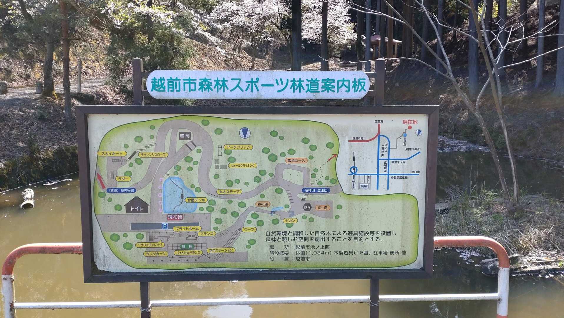 龍神山登山口-龍神山 往復コースの写真